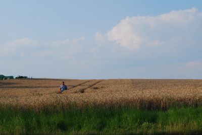 I Lehndorf (sorbiska: Lejno) strax utanför Panschwitz-Kuckau. (Foto: Jarek Malicki.)